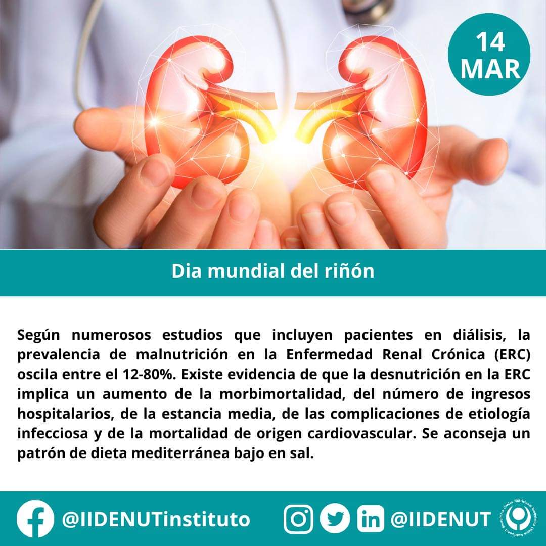 IIDENUT's tweet photo. Hoy 14-mar se conmemora el Día mundial del riñón. La nutrición juega un papel crucial en la salud renal. Una dieta equilibrada, baja en sodio, moderada en proteínas, y rica en frutas, verduras y agua puede ayudar a prevenir patologías renales y mantener la función renal optima. https://t.co/vjkBlqUN2u
