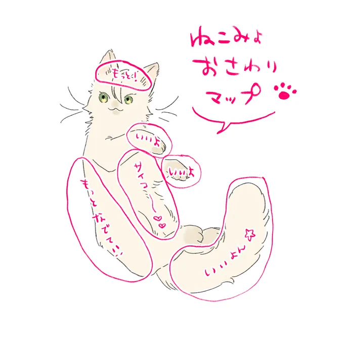 ※擬獣化
ねこみょおさわりマップの例
基本的にどこ触られても怒んないおだやかcat 