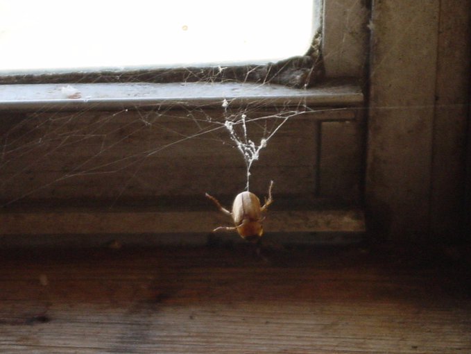 In the end, Jimmy did not complete the novel he’d been working on.