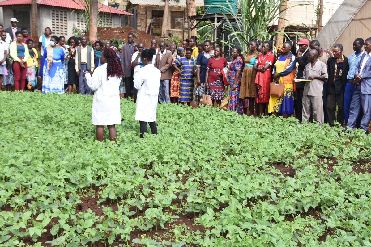 Farmers were trained on Climate Smart Agriculture, livestock management, Post Harvest Management, financial literacy and management, innovation marketing among others. #conservationagriculture #sustainablefoodsystems