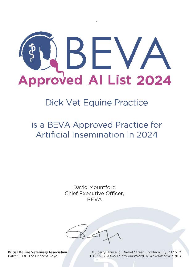We are delighted to have again received accreditation from the British Equine Veterinary Association as an Approved Practice to carry out Artificial Insemination in mares! 

Call if you'd like to discuss this service with us. Chilled &amp; frozen AI packages are available 👍