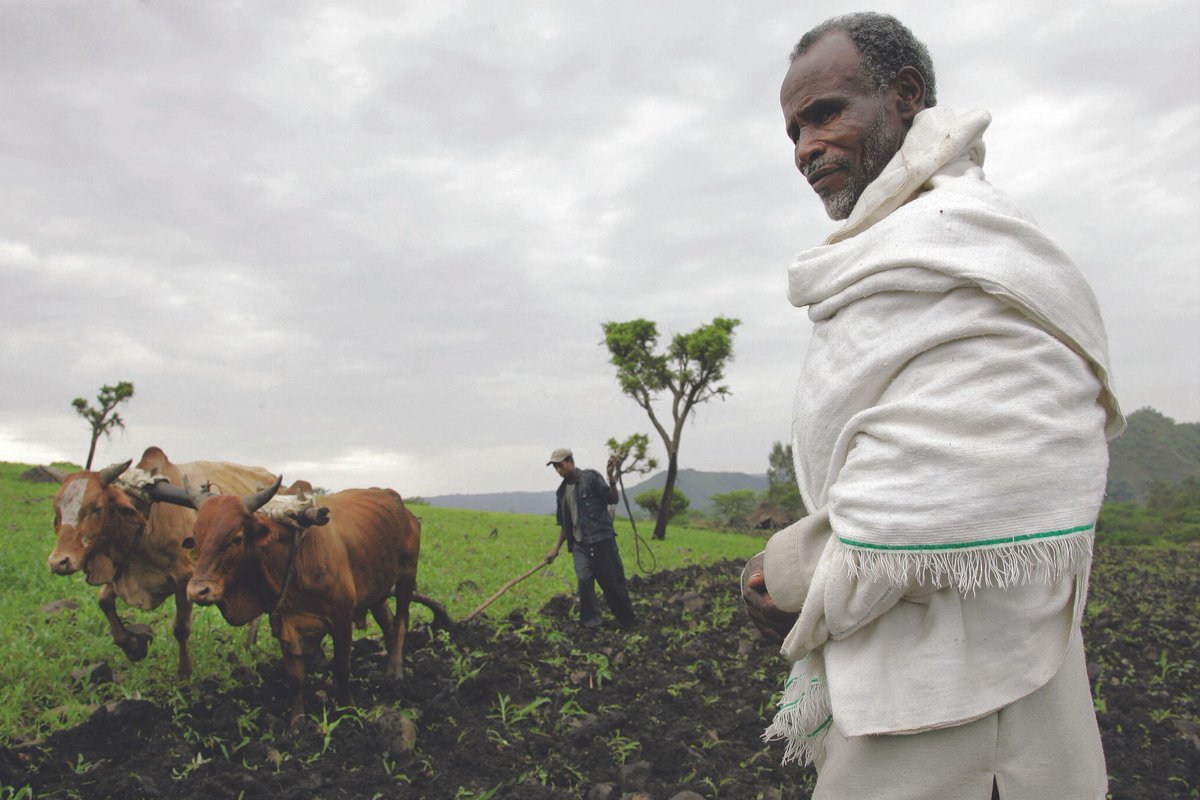 🍛 How to bolster #foodsecurity in countries affected by #conflict and protracted crises? 5️⃣ The brief offers five key lessons from @ODI_Global @SPARC_Ideas' research in the #Sahel, #Syria and #Yemen where #foodcrises and food #emergencies threaten. bit.ly/3IB1uMP