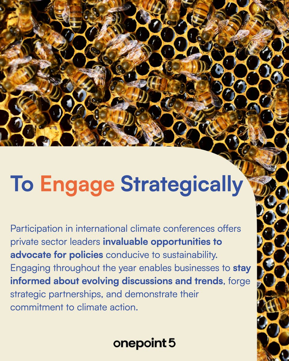 Proactive engagement in the international climate dialogue empowers private sector leaders to influence regulatory frameworks, seize emerging opportunities, and demonstrate commitment to sustainability, thereby securing long-term competitiveness.