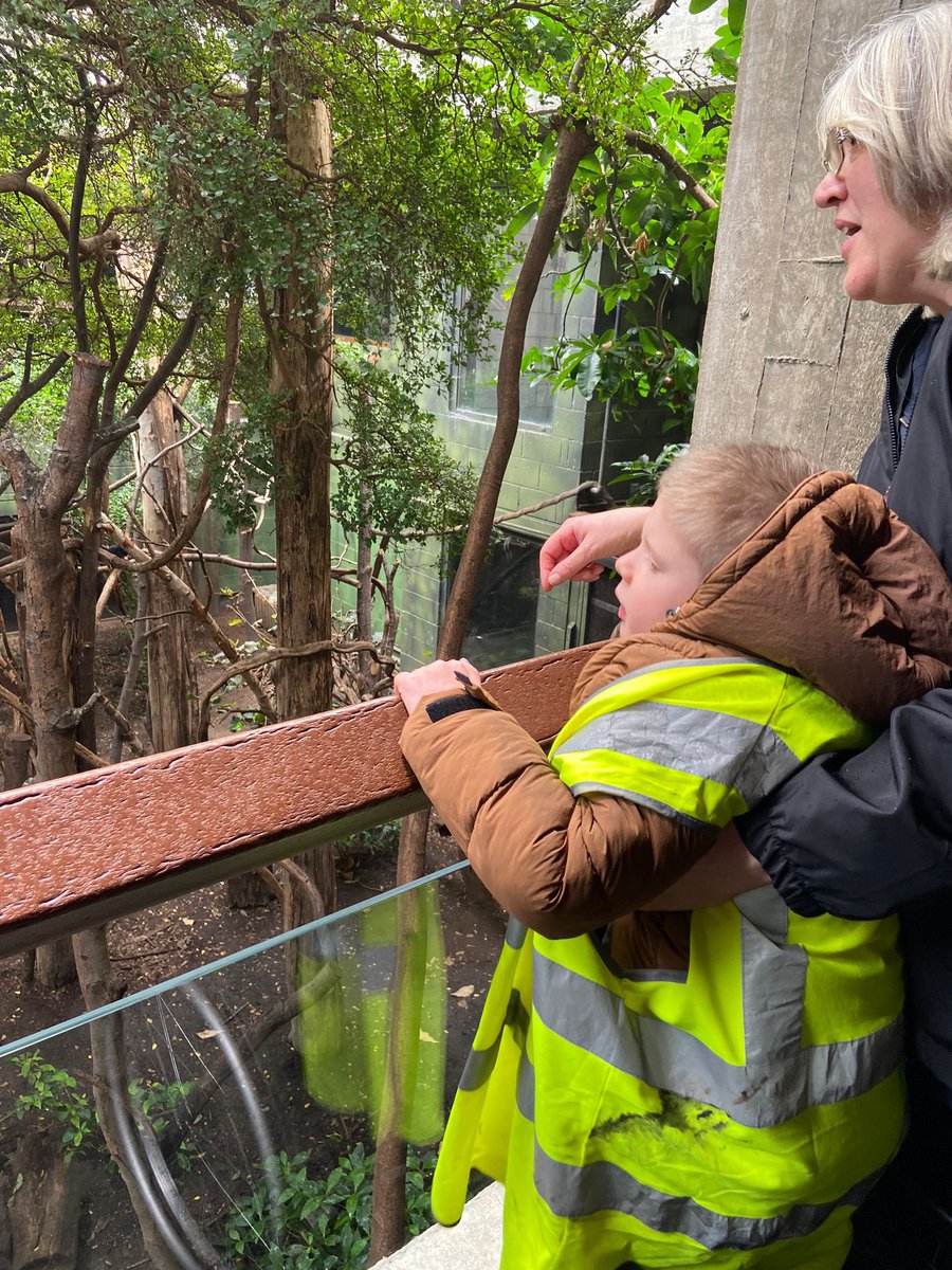 @HawksmoorPrimary tweet media