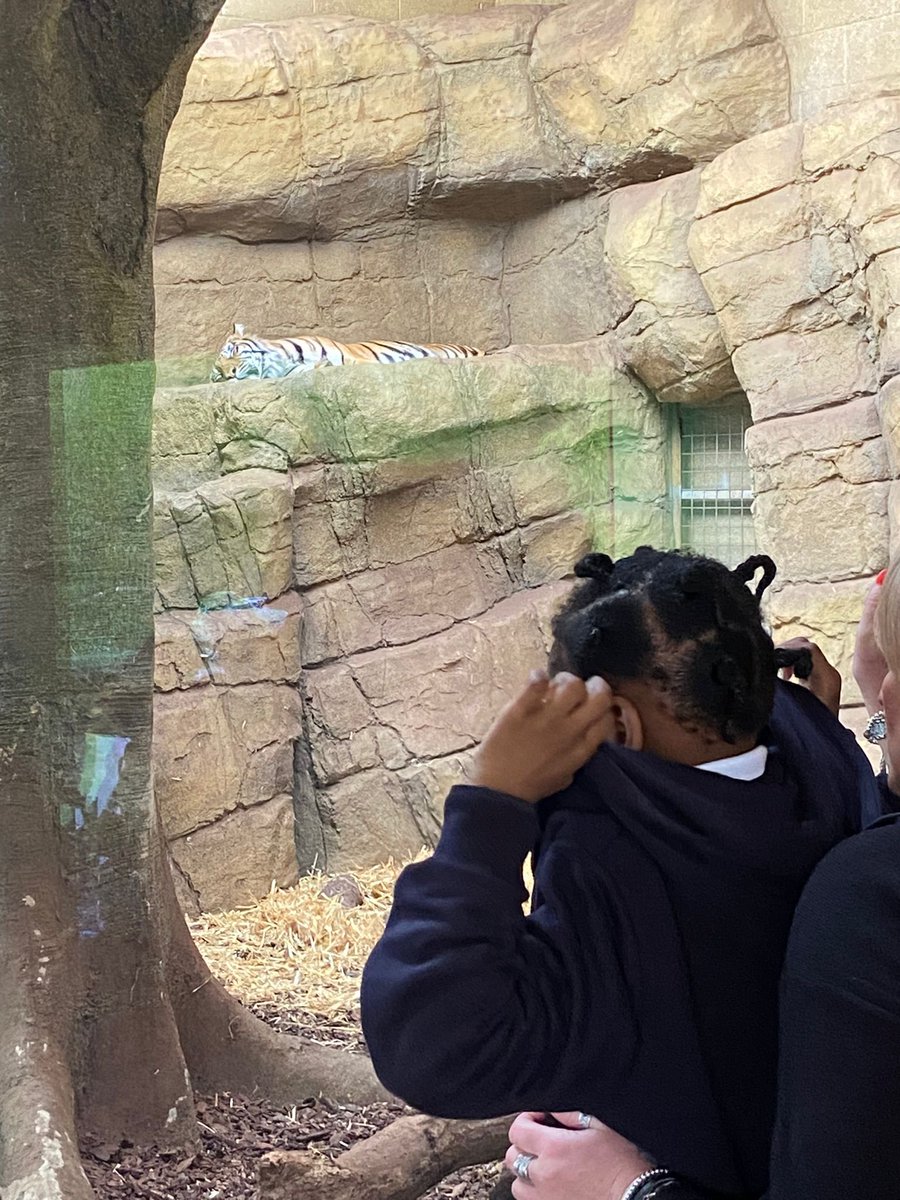 @HawksmoorPrimary tweet media