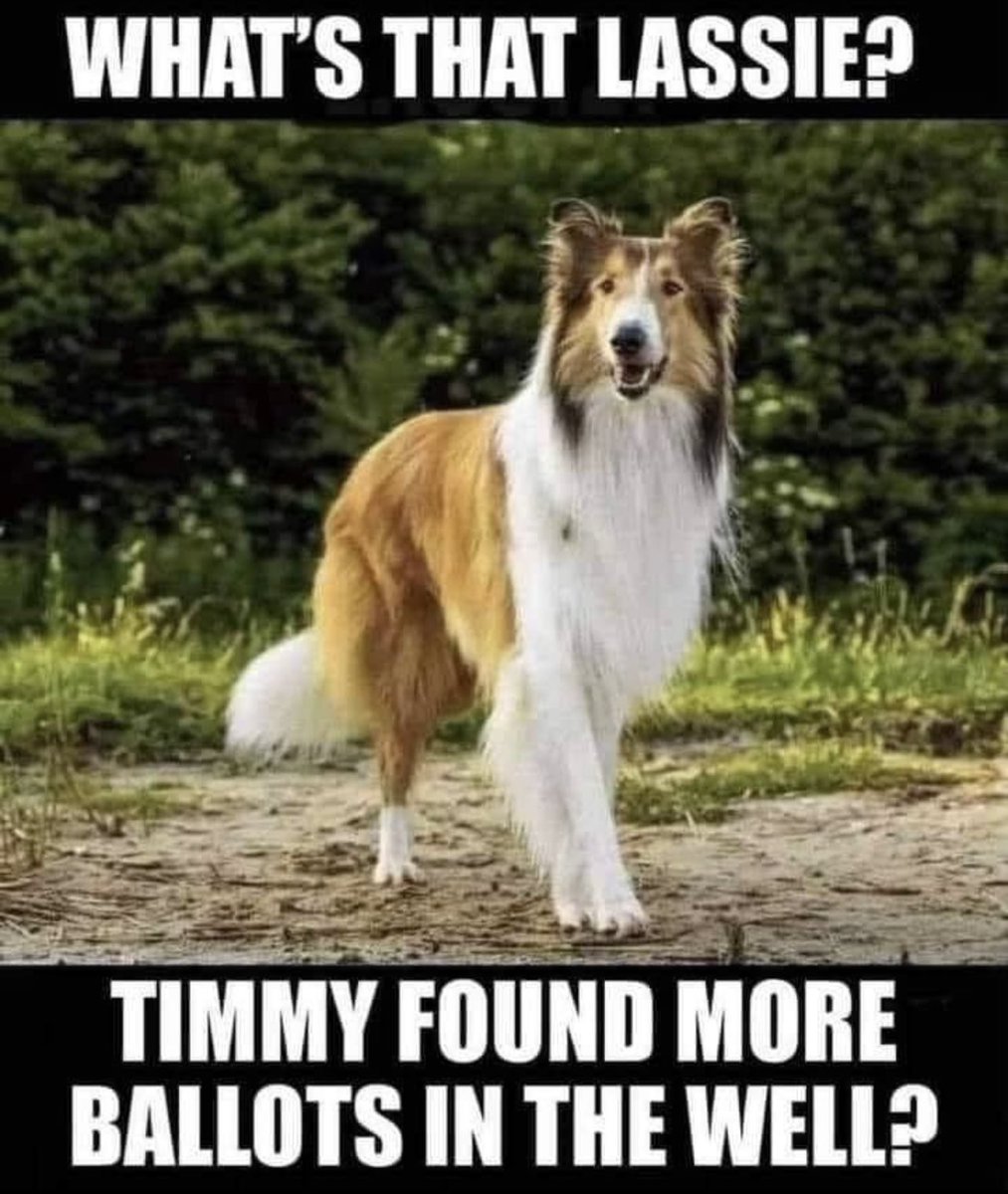 Stellaaa's tweet image. #supertuesday
#Elections2024 
#VOTE