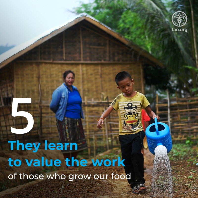 FAO's tweet photo. School gardens are a great way to teach children about healthy eating... and much more!

🥦🥕🍓🥒🥔🫐🥜🍐🧅🍎🍌🍈

👧🏻👦🏽 Discover what happens when children grow food at school👇

#SchoolGardens #SkillsRightNow #YouthSkillsDay