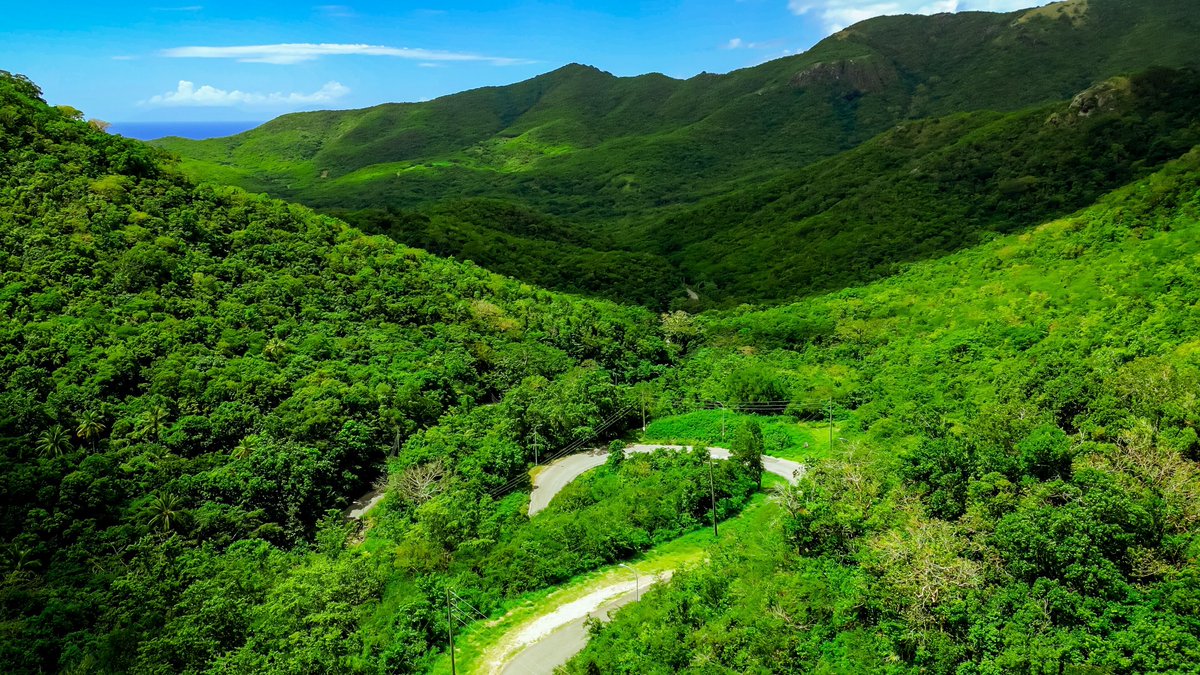 Visit Antigua and Barbuda tweet media