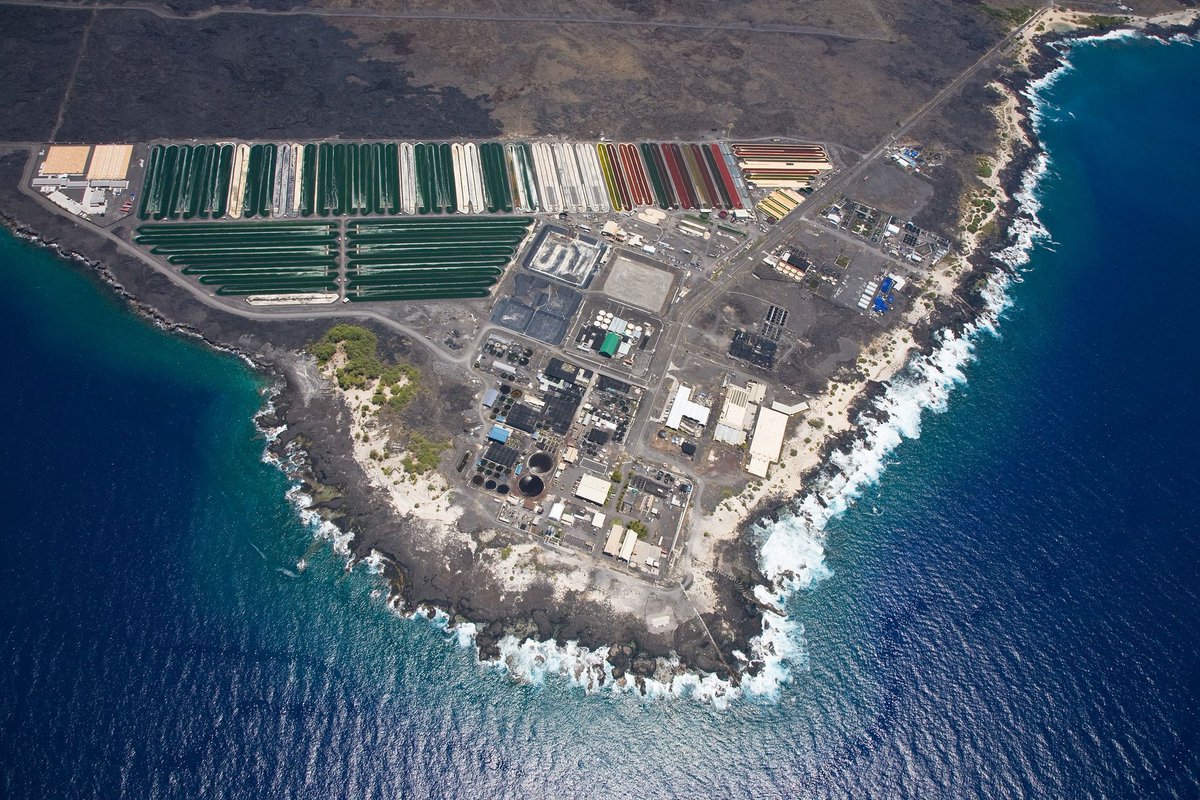 The Natural Energy of Hawaii Authority's @NELHA1 Hawaii Ocean Science & Technology (HOST) Park recently launched a new website that features a virtual tour of their facilities, including an #ocean thermal #energy conversion plant! #marineenergy #otec buff.ly/48H8BOh