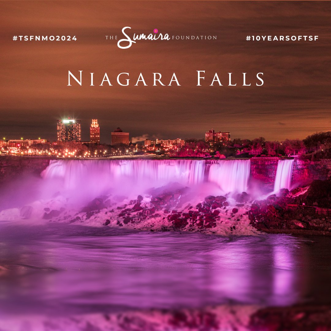 🇨🇦🇺🇸 On March 9th, the majestic Niagara Falls was illuminated pink to honor TSF's #NMOSD Awareness Month (March) & #MOGAD Awareness Month (April)🩷🧠🌺 Thank you @NiagaraFalls / @NiagaraFallsUSA for celebrating with us for the 3rd year in a row #10YearsOfTSF #TSFNMO2024