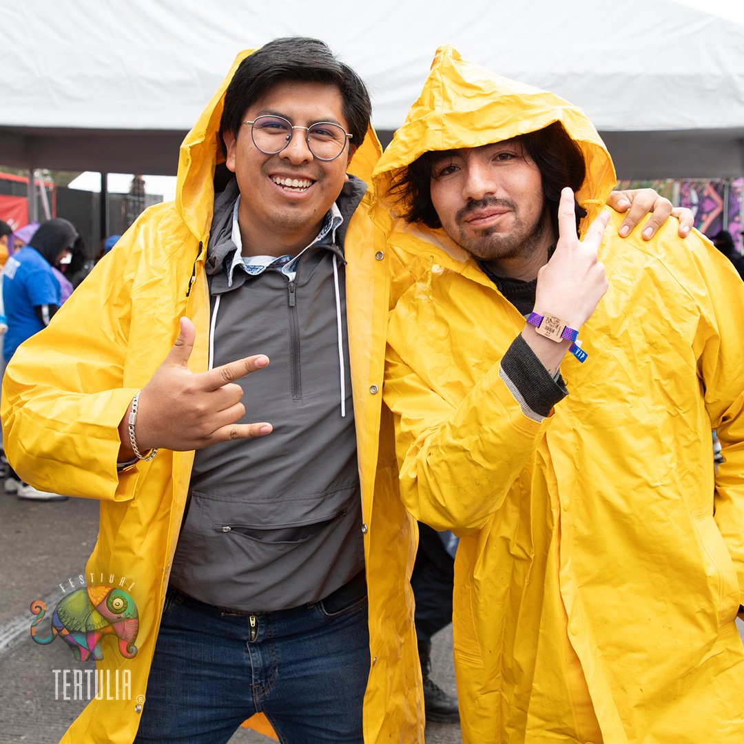 Festival Tertulia tweet media