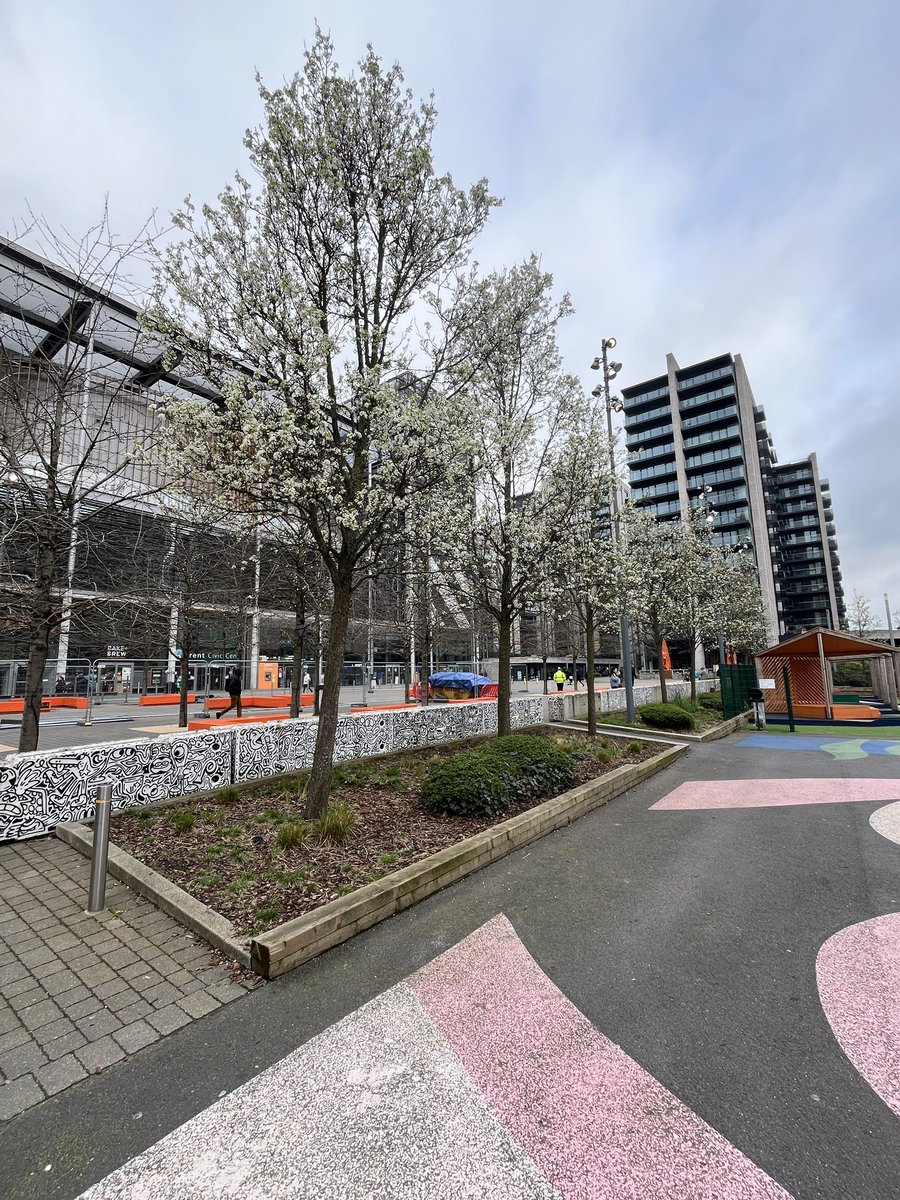 Julian Tollast tweet media