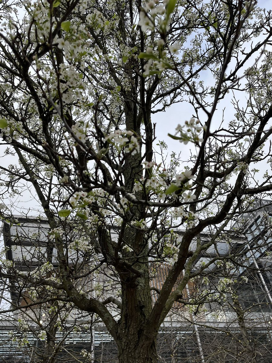 Julian Tollast tweet media