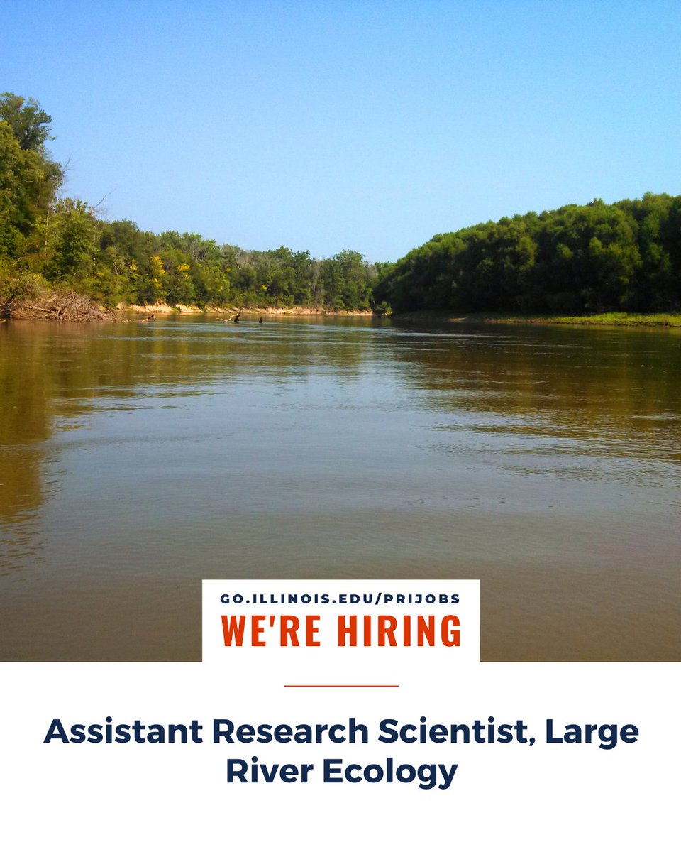 We're #hiring: Assistant Research Scientist, Large River Ecology! 🚤🐟 Learn more and apply at loom.ly/5oPGEug #nowhiring #ecologyjob #riverecology