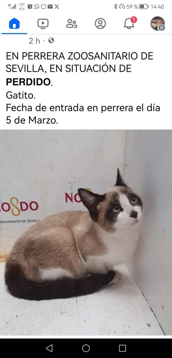 A l v i s 0 0 2 ΦωΦ tweet media