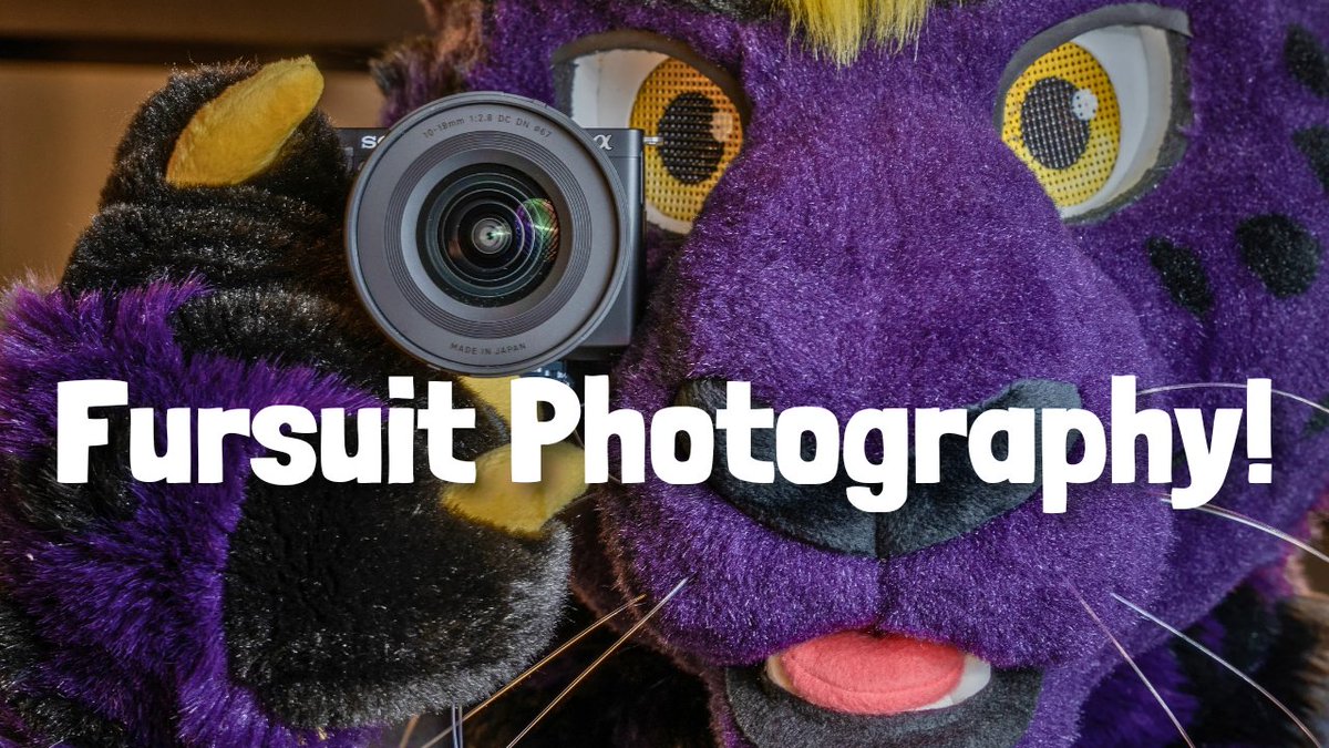 FinnThePanther's tweet photo. 🚨 We're back to new videos on Thursdays!🚨

This week, we're discussing the importance of fursuit photography and some basic tips to take better pictures of fursuiters!

This was a fun one to make for me personally; check it out with the link below! ⬇️ https://t.co/2M50xQ9Hnz