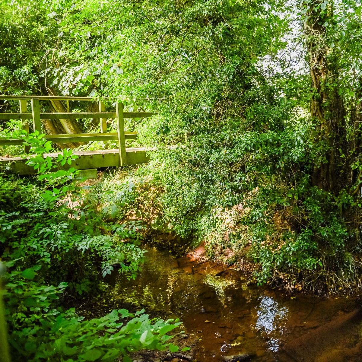 Enjoy a riverside walk at our Poston Mill Touring Park!

🥾 Discover the beautiful Herefordshire countryside as you follow the trail along the River Dore, directly from the park.

Have you booked a 2024 stay at our Poston Mill park?