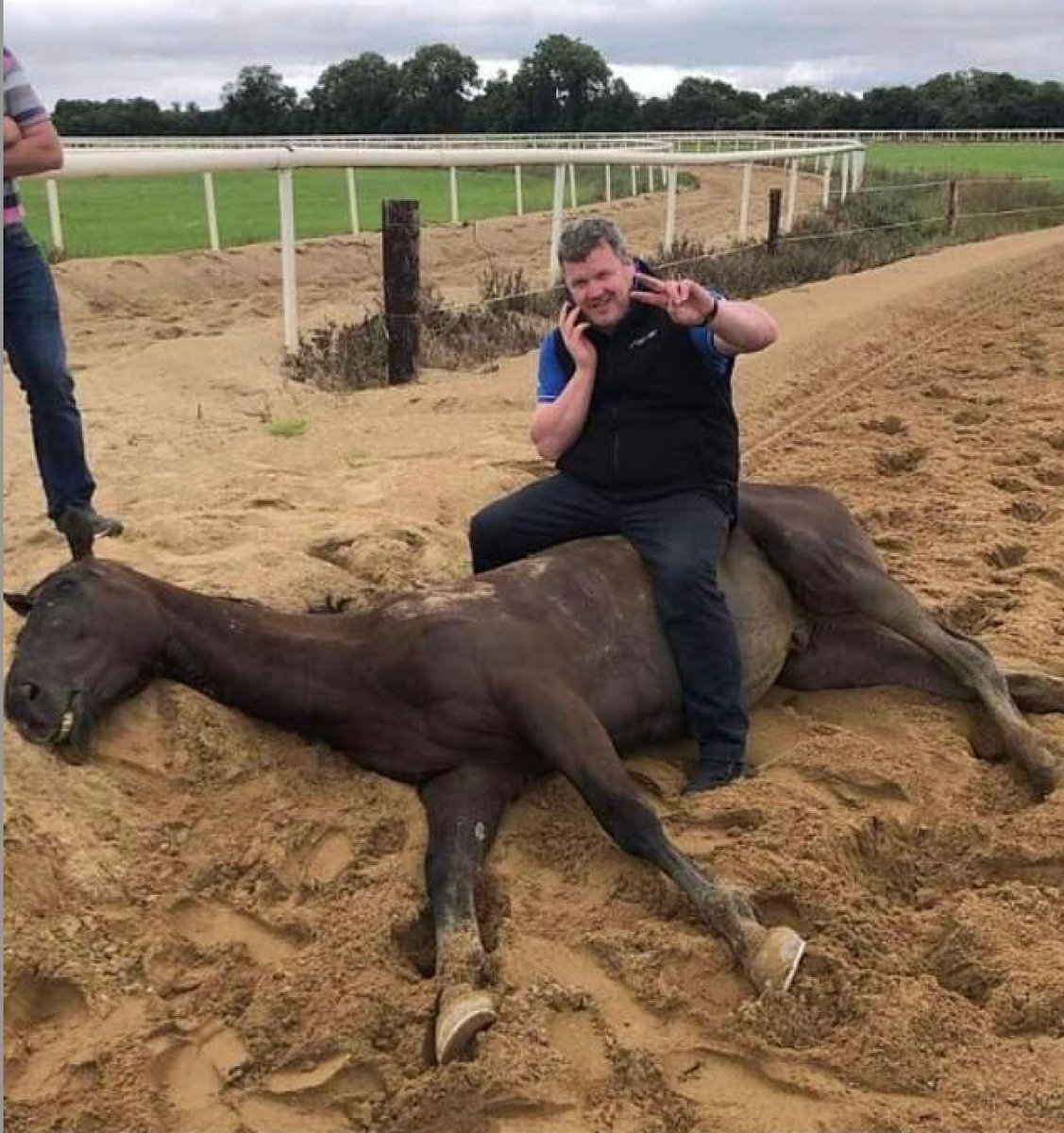 How has Gordon Elliott, the trainer who has just made £9,000 in one race at Cheltenham, not been permanently banned from racing? Here's a reminder of Elliott's past treatment of horses.