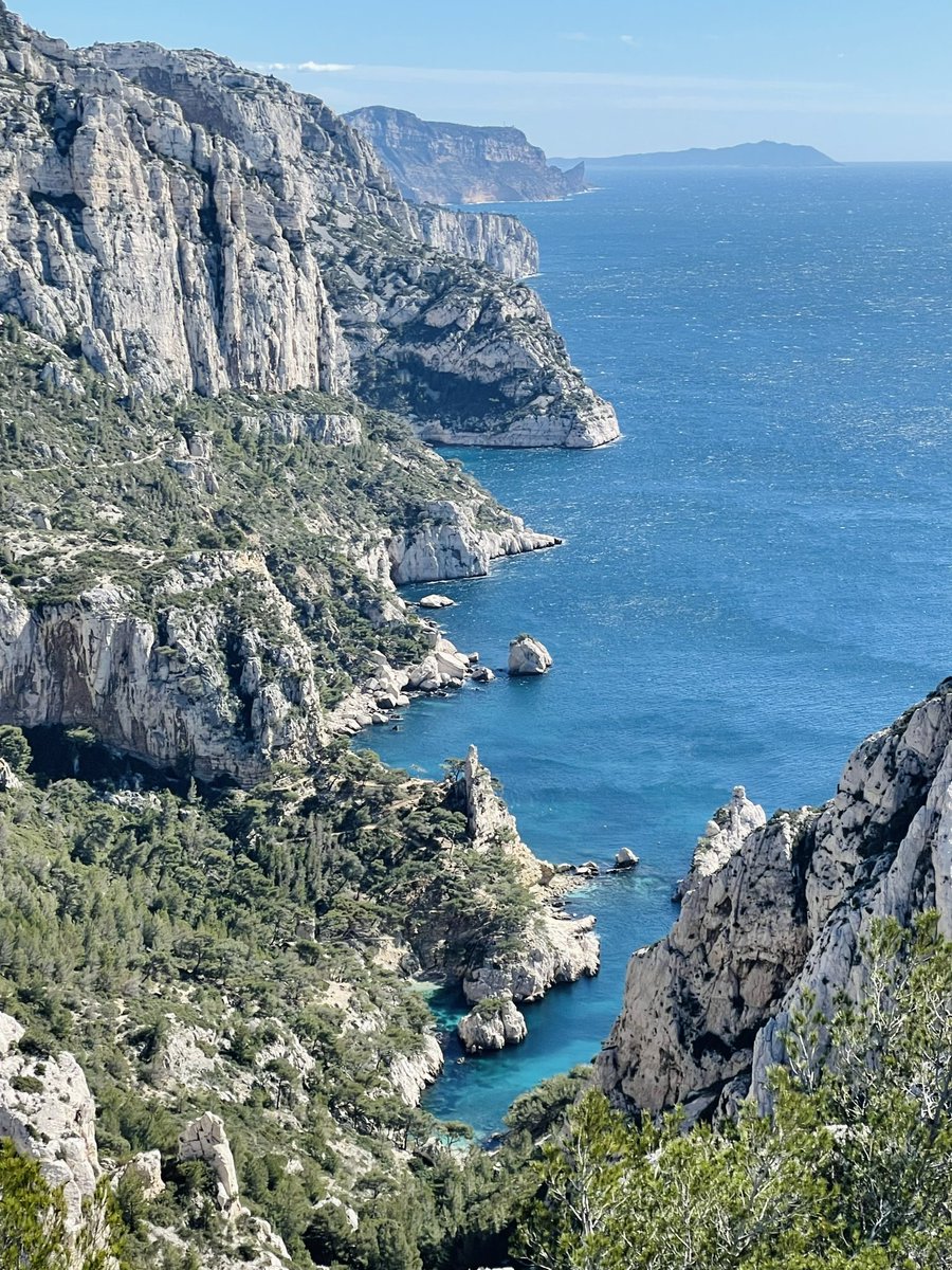 Grace Thomas tweet media