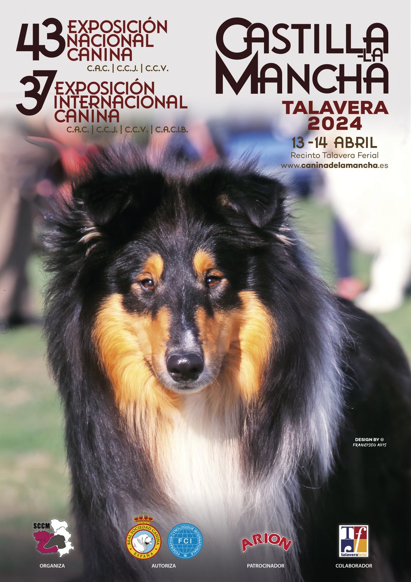 TalaveraFerial's tweet photo. ¿Eres amante de los #perros?
No te puedes perder esta cita del 13 al 14 de abril en #Talavera
✔️ 43 Expo Internacional Canina CLM
✔️ 37 Expo Nacional Canina CLM
✔️ II Concurso Monográfico #Chihuahua
✔️ VII Concurso Monográfico #carea #castellanomanchego ...
#expocanina https://t.co/TN3tyoxnW0