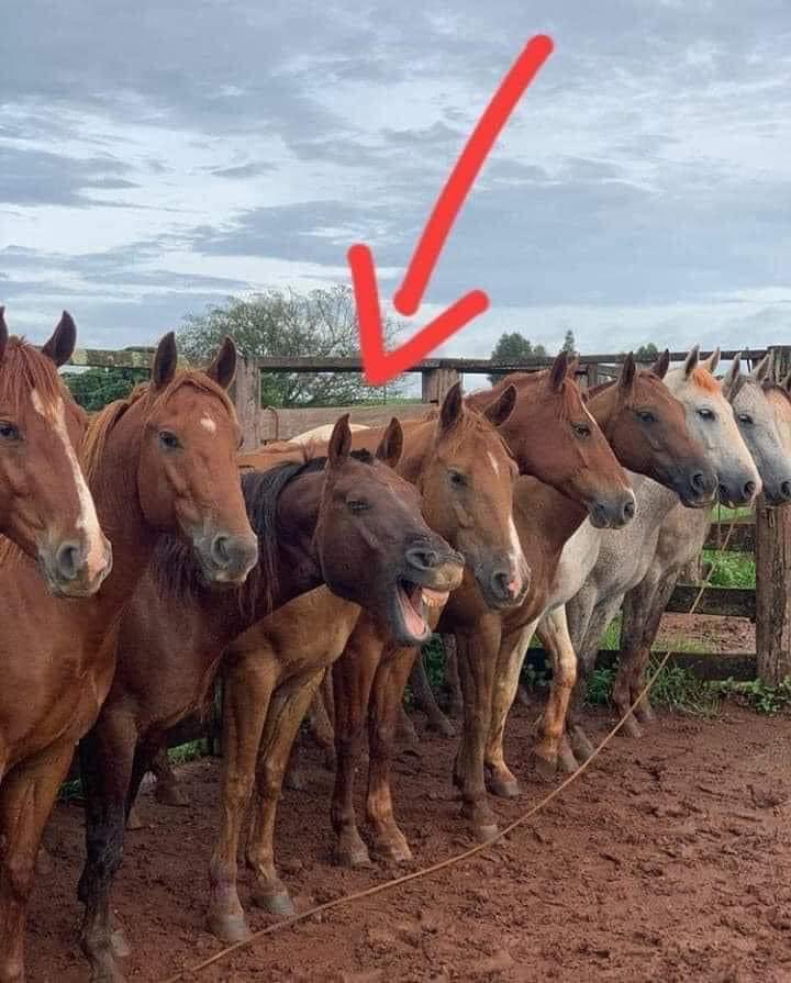 justinenantale2's tweet photo. Me remembering a joke in a serious situation: https://t.co/0CLRT7kFIS