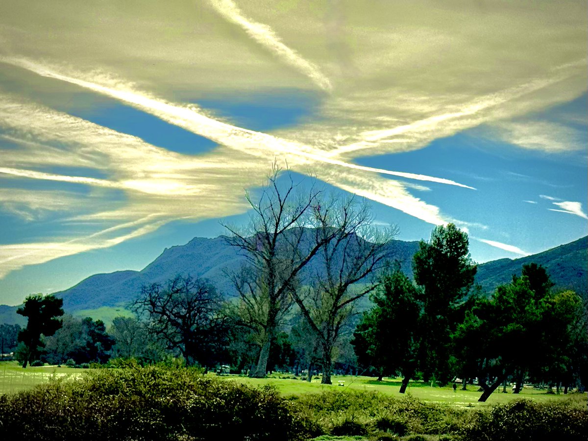 Steven Gutterman tweet media