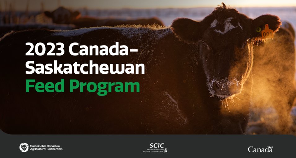 Deadline to apply is tomorrow!  Apply here:  scic.ca/2023-canada-sa…
#saskbeef #saskag #skag