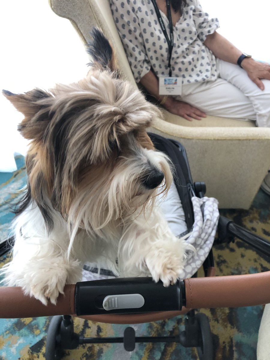 Jim_Roddy's tweet photo. I was honored to keynote and present The #WalkOnMethod today at the National Computer Corporation @NCCPOS partner conference today. Very positive feedback — and I got to meet a very good boy! @InsideRSPA https://t.co/zOYk0DWhkG