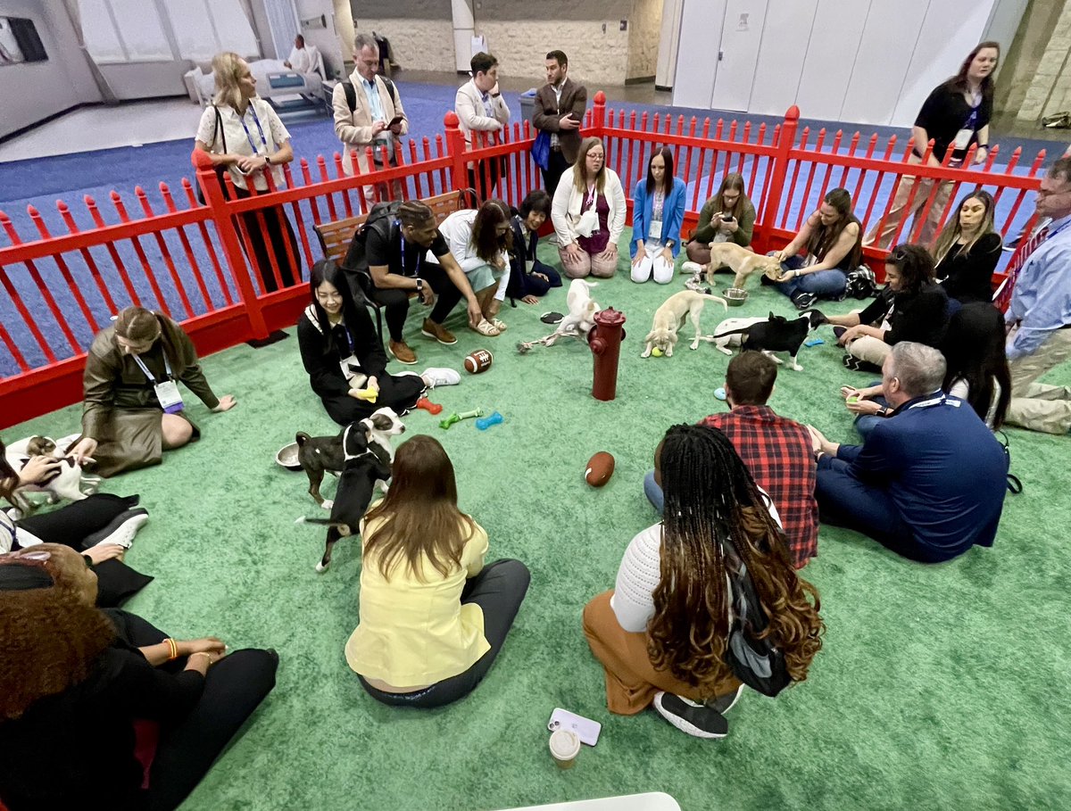 @HIMSS24 - Puppy 🐶 park! Puppy love ❤️! Adorbs!🥰 
#KidsHealth #HMISS #PedsEducation