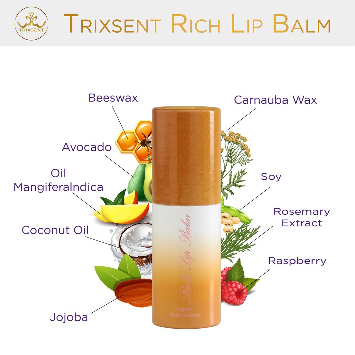 Pamper your lips with our luxurious Lip Balm, enriched with the finest coconut oil, jojoba, and other powerful ingredients. TRIXSENT assures not just deep hydration but also a collagen-boosting, protective shield for your lips. #lipcare #lipbalm #healthylips #skincare #liptherapy