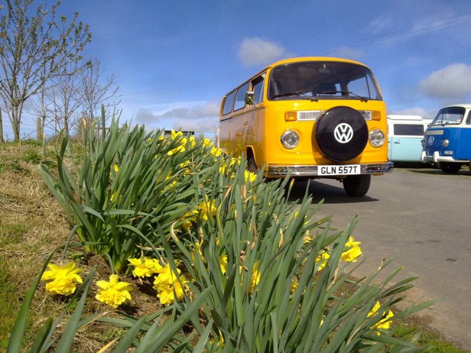 Spring is in bloom 

#ThrowbackThursday  #VWLife #VWBus #VWGardenGrove #VWofGGMarchManiaSalesEvent #tbt