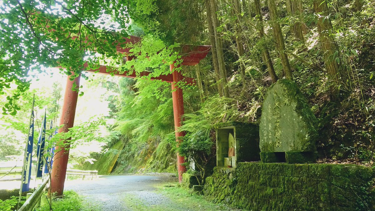 この美しい #鳥居 に、
また会いに行きたいです⛩️
I want to go back and see this beautiful #torii gate again.

この動画見て、
暖かいときに行く準備しましょ☺️
First, watch this video to prepare for a warm trip.

動画はこちら💁
youtu.be/Lfu8oZfnPpg?si…
#YouTube #拡散希望 #JAPANVLOG