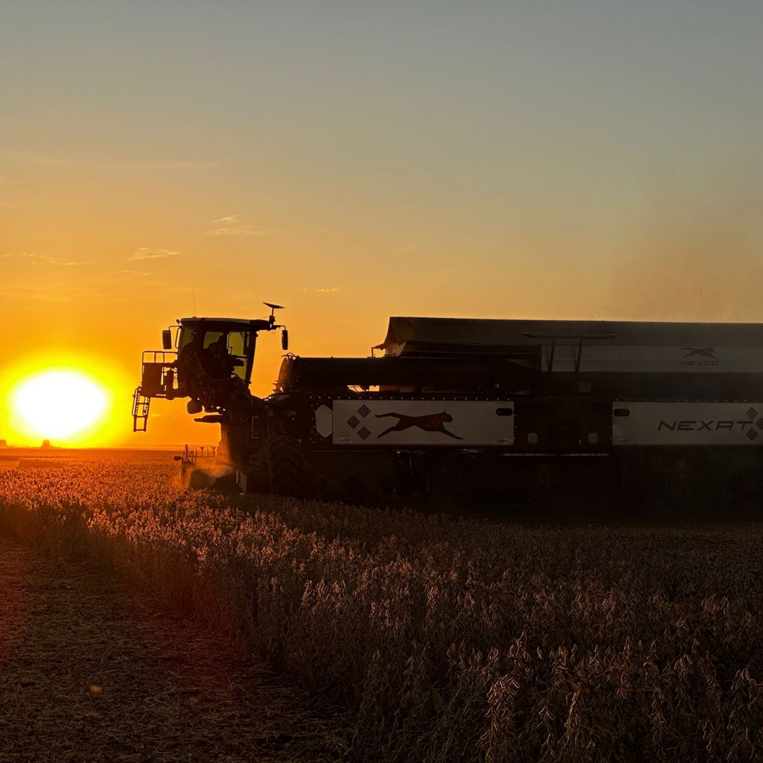 Harvest season in Brazil is in full swing! Exciting times as we expose NEXAT to the rich South American soils. However, with NEXAT and our threshing implement NEXCO, we effortlessly rise to the occasion!