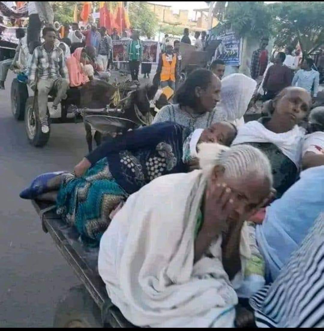 Elderly people’s with dementia has been suffering from senseless war that took place three years ago. Allow humanitarian aid and life saving emergency aid. Resume #Aid4Tigray #Justice4TigrayGenocide #UpholdPretoriaAgreement <a href="/antonioguterres/">António Guterres</a> <a href="/SecBlinken/">Secretary Antony Blinken</a> <a href="/BradSherman/">Congressman Brad Sherman</a> <a href="/HopeEnough1/">SaraMekelle</a>