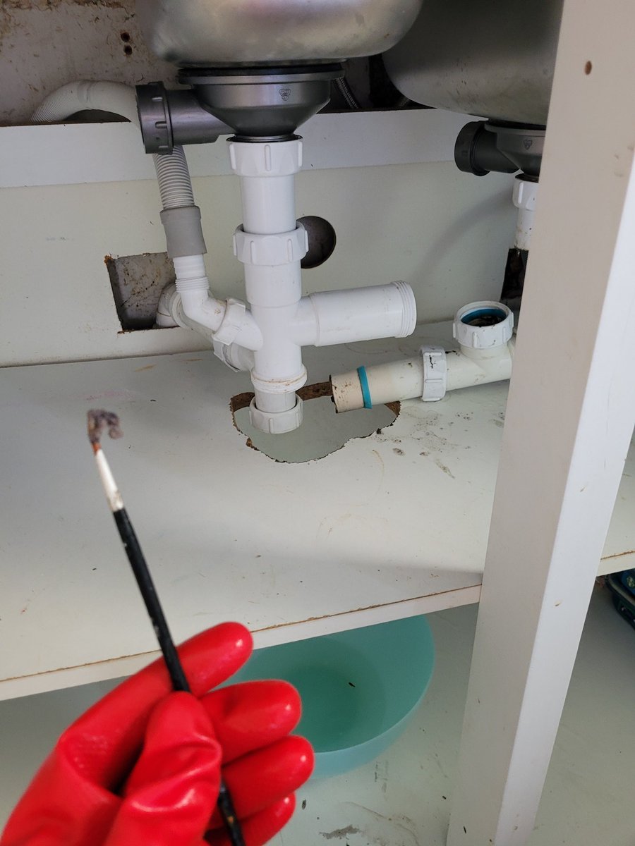 Damian_Quinn666's tweet image. Finally solved the problem of the blocked sink. Note to self : Be more careful when washing your paint brushes.
#plumbing #artistproblems