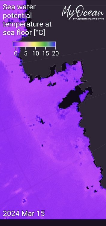 @KrVaSt Seafloor temps risen and staying risen. data.marine.copernicus.eu/-/oq45ot6949