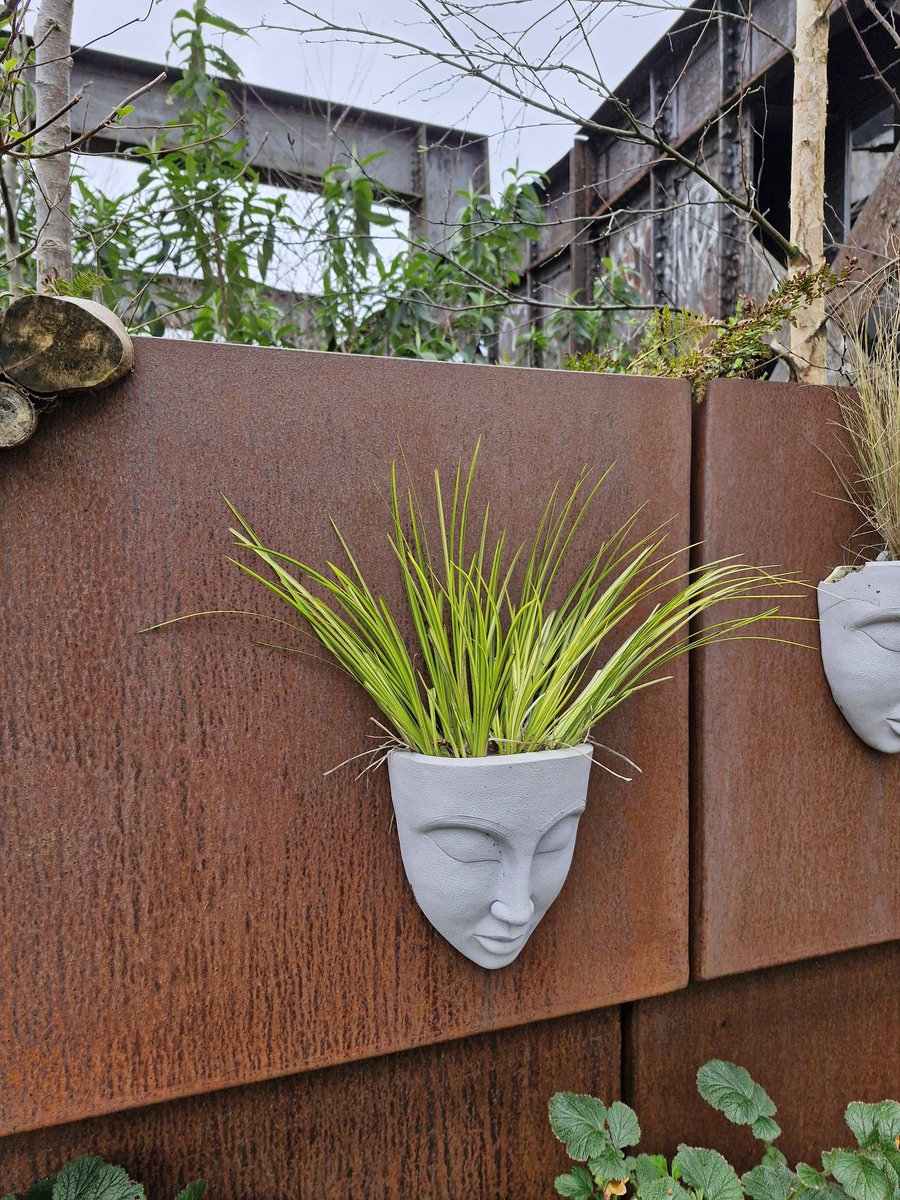 Growth in an image