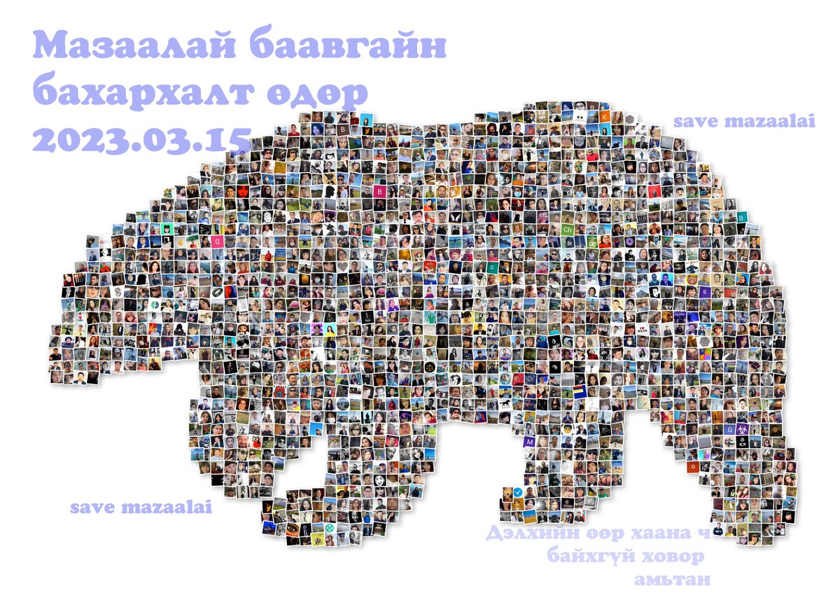 Энэ өдөр Мазаалай баайвгайн бахархалт өдөр юм байна. Дэлхийд ганцхан манайд байдаг гэхээр хайрлаж хамгаалцгаагаад байхаас өөр яахав. @Bazaraa_102 таны санаачлагаар нэгэн цуглуулага ...
#SaveMAZAALAI