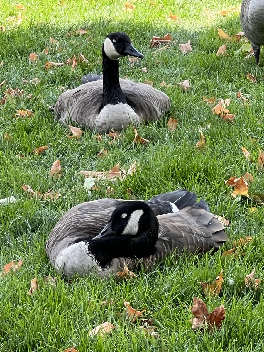 ⁦<a href="/laurenbalik/">Steven Balik</a>⁩