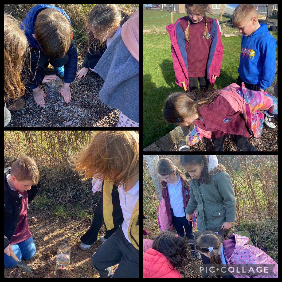 Miss Graham and P2/3 tweet media