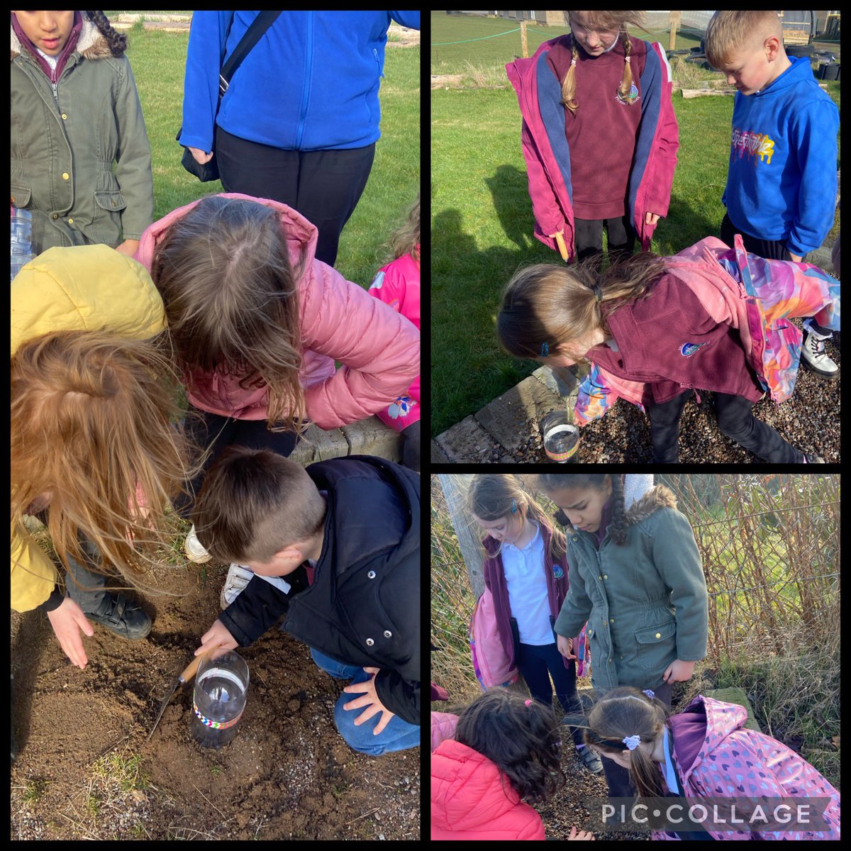 Miss Graham and P2/3 tweet media