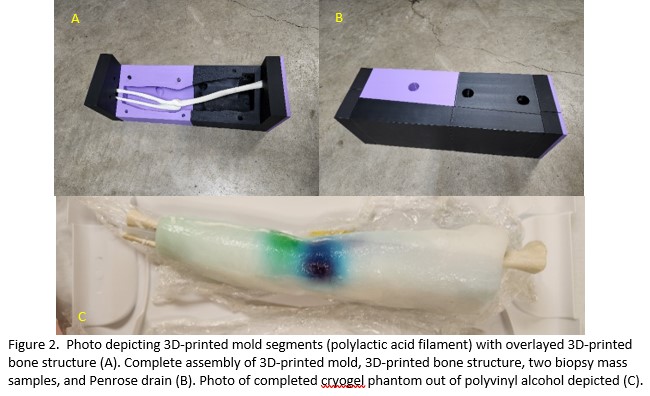 Dr. Foster mentored medical student, Tim Kang, in a projected titled '3D-Printed Ultrasound Phantom: Path To Low-Cost And High-Fidelity Training Models'. Dr. Foster received OHSU’s Scholarly Projects Excellence in Mentoring award. now.ohsu.edu/member/post/ad…