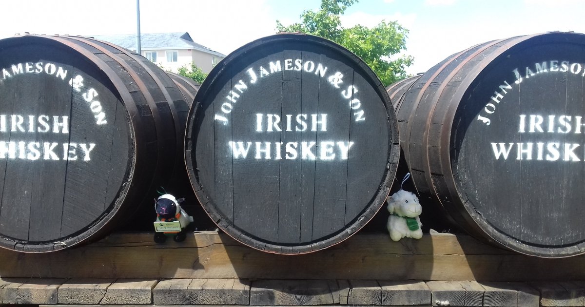 Sláinte! 🥃 Need a rundown of Irish Whiskey and the distilleries around the island where you should try it? Read on to discover more... ⬇ rabbies.com/en/blog/slaint…