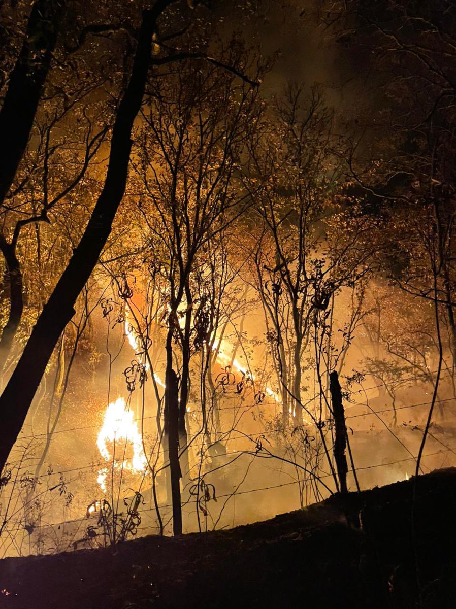 nicoleurboc's tweet photo. #BuenavistadeCuellar | #Guerrero 
SE SOLICITA URGENTE AYUDA, EL INCENDIO FORESTAL ESTÁ FUERA DE CONTROL Y CONTINÚA EXPANDIÉNDOSE. 
@CONAFOR @SEMARENgro 
NECESITAMOS HELICÓPTEROS O AVIONETAS URGENTEMENTE @EvelynSalgadoP  @Gob_Guerrero 
@CNPC_MX @incendios_CONAF https://t.co/Z1GzyeCHSE