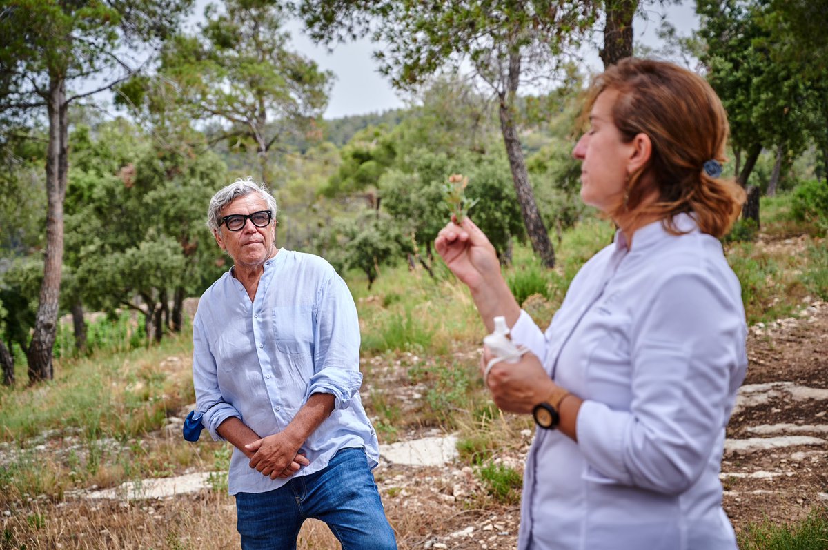 VinyesDomenech's tweet photo. Les vinyes del #TEIXAR es situen en un amfiteatre enmig de la reserva natural: Serra de Llaberia.
Un microclima mediterrani, litoral i de muntanya, que dona vida a un ecosistema d’alta biodiversitat que marca el caràcter del nostre #videfincaqualificada.
#20èaniversariTEIXAR https://t.co/XqBQwOLTcu