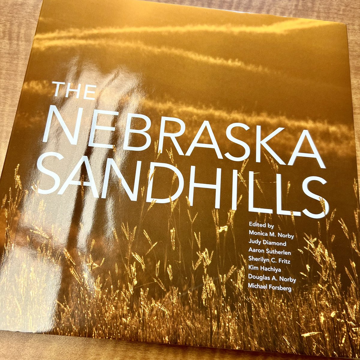 Jeff Bradshaw 🌾🐞 tweet media