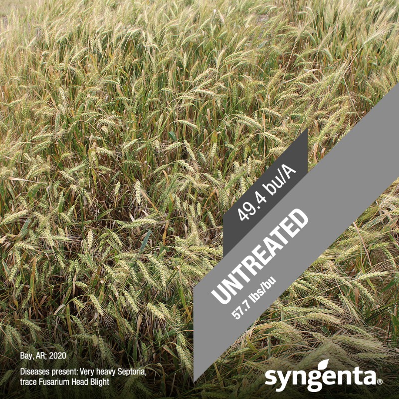 SyngentaUS's tweet photo. ALERT: YOU could get 5 – 6 more bu/A at harvest with Miravis Ace 💰. Need proof? Check out the consistent yield bump Miravis Ace provided YOUR state.