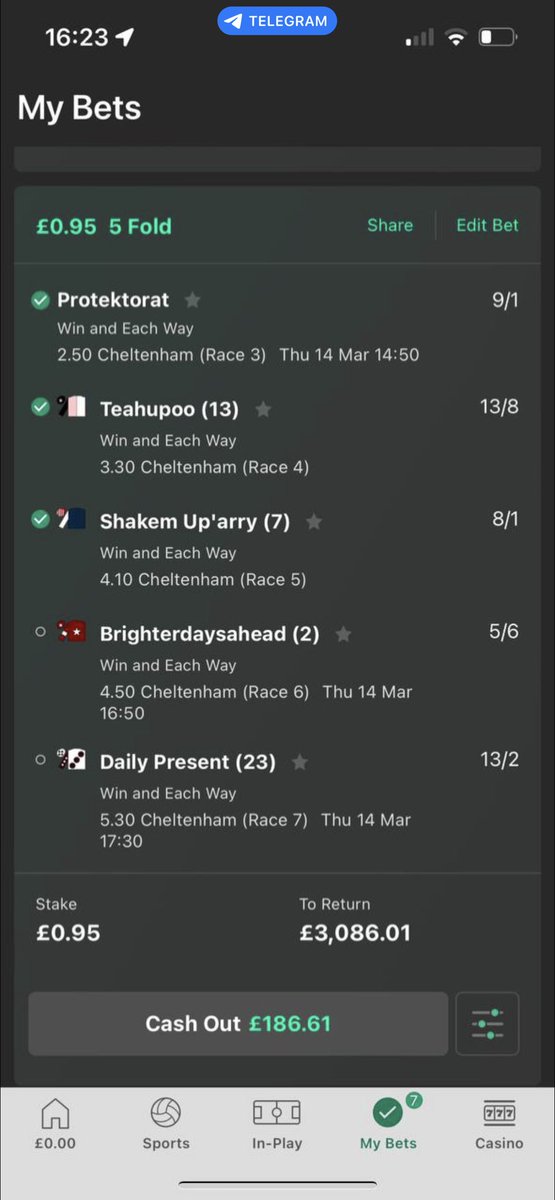 What we saying. Is the madness gunna happen? Someone in my group just sent me this. I am on fire 🐎☘️ #CheltenhamFestival2024