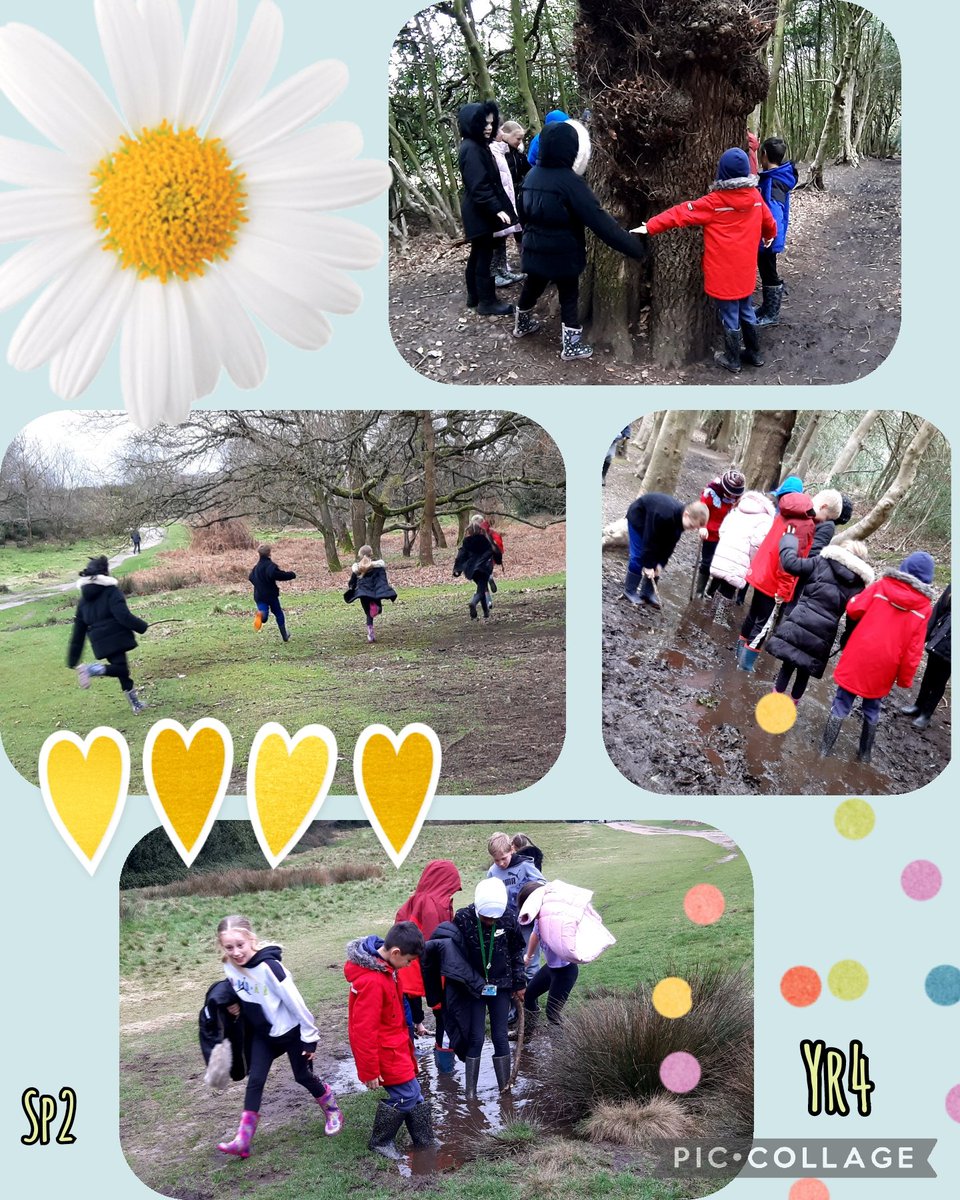 🌳A super afternoon with a new group from @OAShortHeath we tested out our listening skills and teamwork in #SuttonPark Trees were hugged and wellies tested fully. @BOSFonline @NaturallyBirmi1 #forestschool