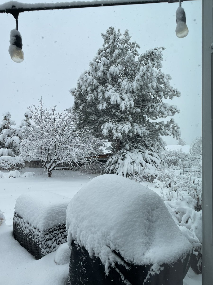 mschuf92's tweet photo. East Centennial by Tower and Orchard #9WX @BianchiWeather https://t.co/1HF2TY8gqn